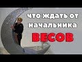 начальник- Весы. что ждать от начальника Весов ? "Двуликий Янус"