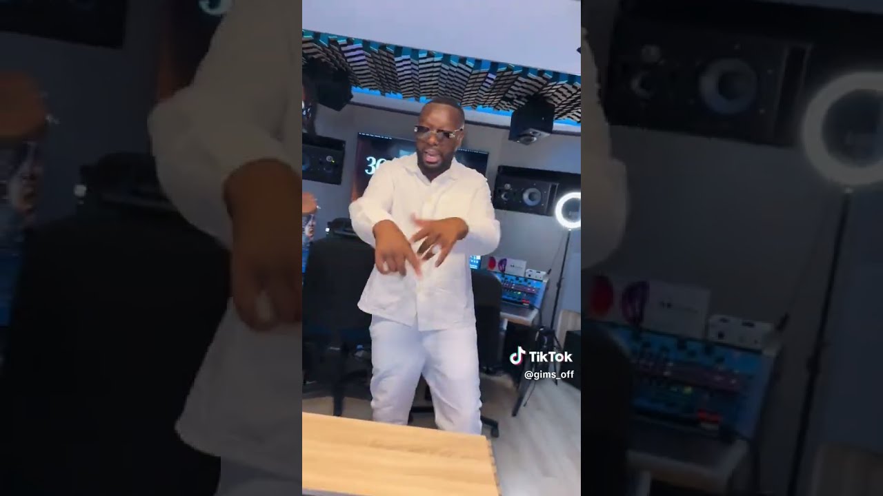 GIMS feat DAMSO ~ tu me rends bête ( exclu )