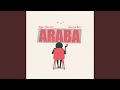 Araba mp3