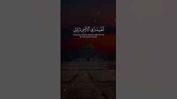#تلاوة_خاشعة آيات من كتاب الله راحة لقلبك وسمعك #القرآن_الكريم #دويتو #اكسبلور #الرحمن #الثامن