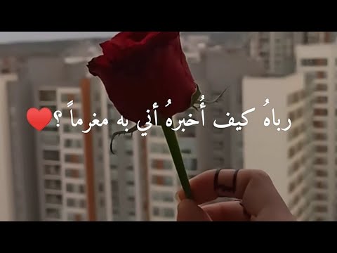 رباه كيف أخبره أني به مغرما قصيدة حب بقمة الجمال