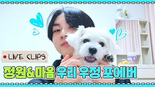 [LIVE CLIPS] Once you have a taste, you can’t get enough of it! JUNGWON & Maeum’s chemistry🤍