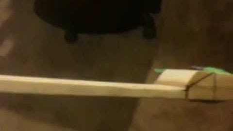 My first Mollegabet bow early stage