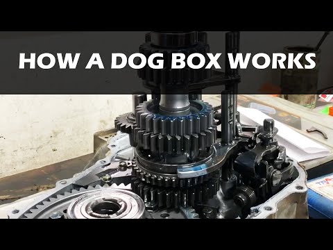 How a Dog Box works