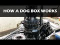 How a Dog Box works