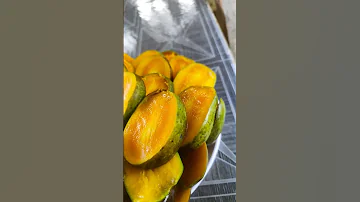 Manago Season 