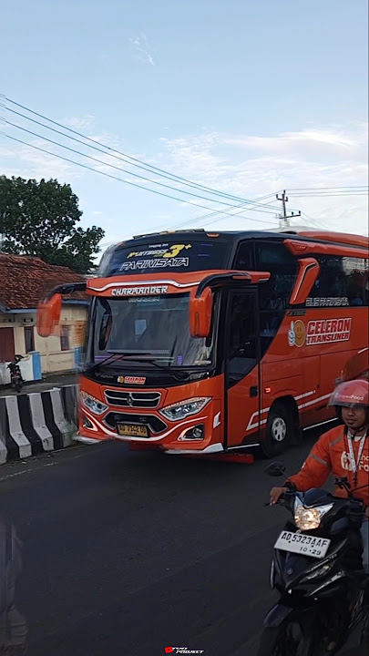 Basuri Yalal Wathon Enakeunn🤩🔥|Bus🧡CELERON TRANS🧡#basuri#busbasuri#huntingbus#busmania#tyoproject