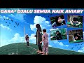 KACAU BALAU ANAK2 PADA NAIK AVIARY !!