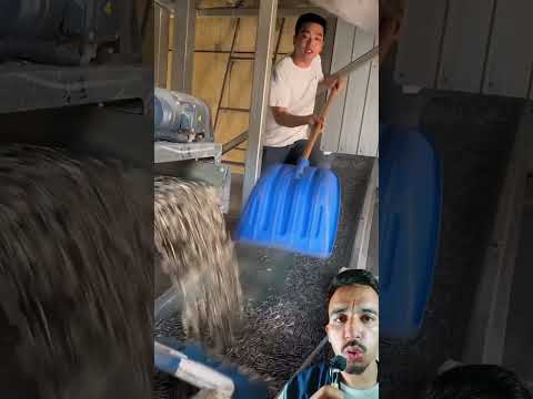 آلة حصاد نوار ااشمس