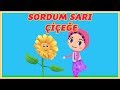 Sordum Sarı Çiçeğe | Sordum Sarı Çiçeğe İlahisi |Harika Çocuk ilahileri | Didiyom Tv