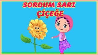 Sordum Sarı Çiçeğe | Sordum Sarı Çiçeğe İlahisi | Harika Çocuk ilahileri -çocuk ilahileri-Didiyom Tv