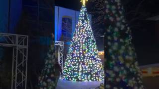 Dazzling Treeville at Hersheypark Christmas Candylane 2023 @hersheypark