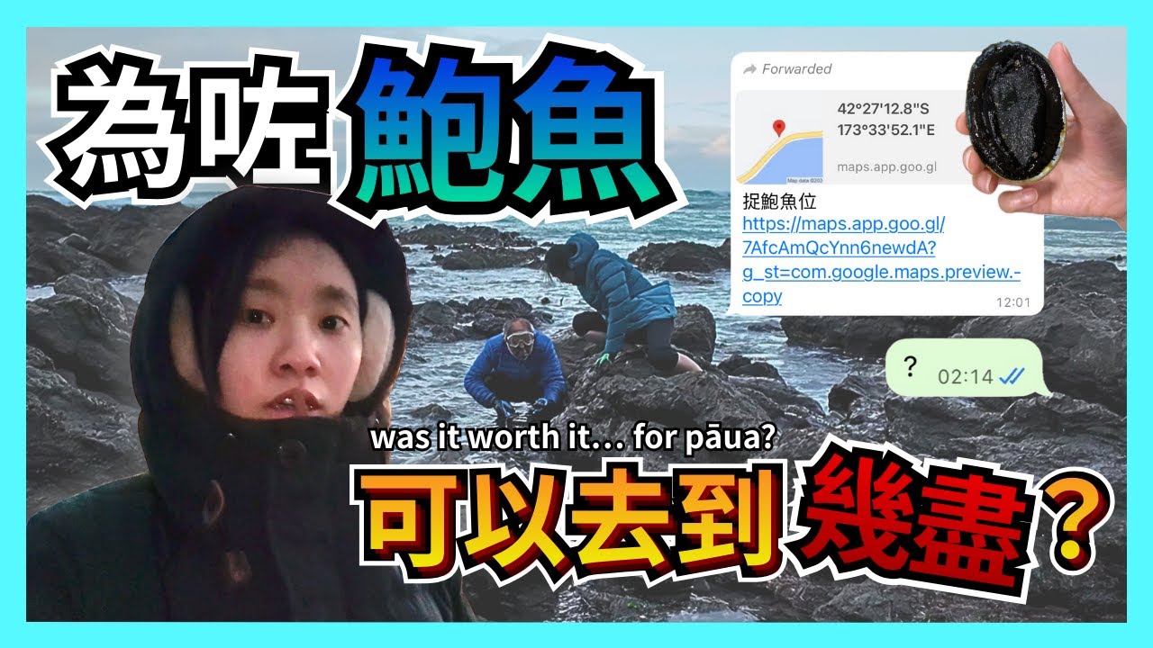 【突發】落南島捉鮑魚！🌊🦪 連件正經潛水衣都冇?  一家人差啲反面？😱｜Pāua Hunting in Kaikōura/Christchurch 🇳🇿 (ENG SUB)