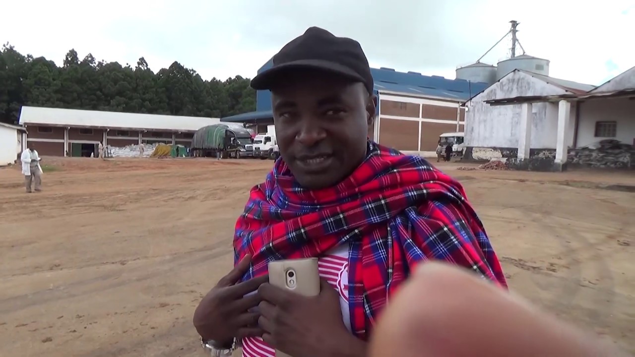 International Volunteer Day 2018