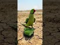 ارحم من في الأرض🤲… يرحمك من في السماء 🤲🤍