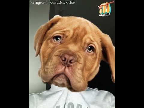 خالد مختار ننسى بتاعه الخرابه