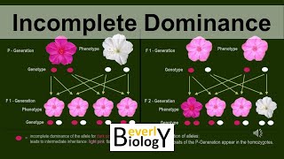 Incomplete Dominance (updated)