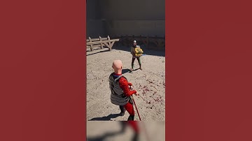 I used a KATANA In Half Sword!