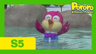 [Pororo en Español S5] #25 Harry y el manantial mágico | Pororo Spanish | Animación infantil