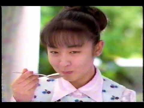 懐かしCM　ハウス　カレー上手　酒井美紀
