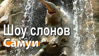 Шоу слонов в Таиланде на Самуи Шоу слонов в Таиланде на Самуи