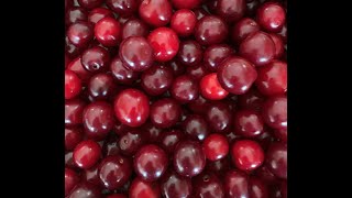 Sour cherry pie filling