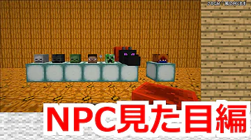 マイクラ Npc 見た目作り方 マイクラ Npc 見た目作り方