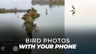 SIMPLE Trick for Better Bird Photography with JUST Your iPhone screenshot 5