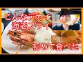 【徳島の紹介動画】ジャンボ海老フライ食べてみた