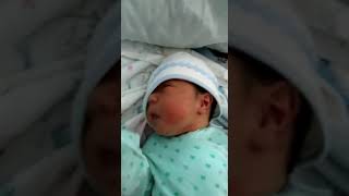 VID 20221226 WA0012