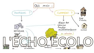 QJR : quelles actions positives mettre en place pour la biodiversité dans mon collège ?