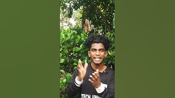 തണ്ണിമത്തൻ വെളിച്ചെണ്ണയിലേക്ക് ഇട്ടു🥵🤯#shorts #youtubeshorts #trending