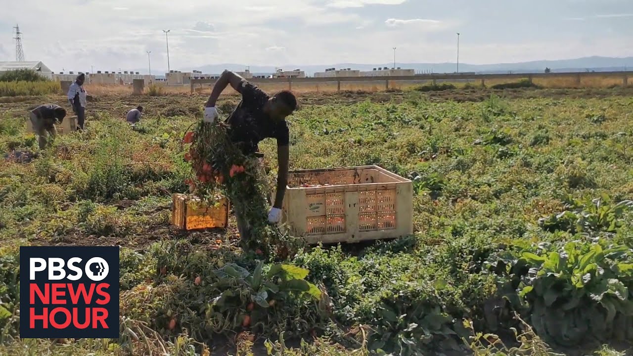 Inside African Migrants Fight Against Slave Like Conditions In Italy Youtube