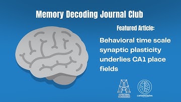 MDJC13 Behavioral time scale synaptic plasticity underlies CA1 place fields (Bittner et al, 2017)