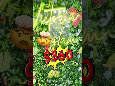 ديكور خرافي لبلكونتك أو غرفتك أو محلك بأسهل طريقة