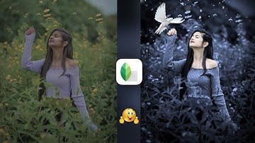 Snapseed Dark Blue And Bird Effect Photo Editing Tutorial | Snapseed Background Colour Change Tricks
