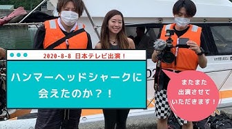志村どうぶつ園 Youtube