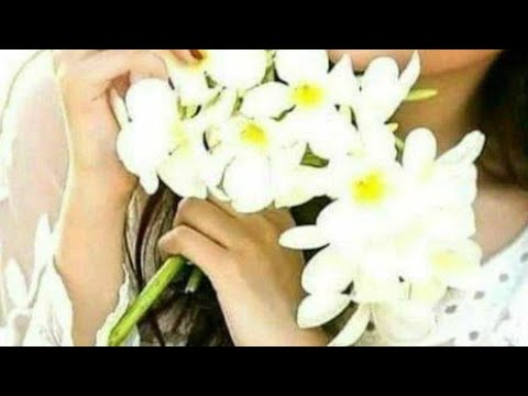 Porno aktrisa Kortni