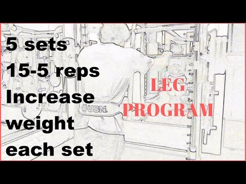 Bodybuilding Beginner - Leg Routine/Program Bodybuilding Beginner - Leg Routine/Program