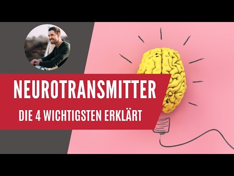 Video: 3 Möglichkeiten, Acetylcholin zu erhöhen