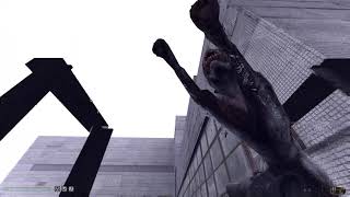 STALKER Anomaly - Heart attack simulator 4