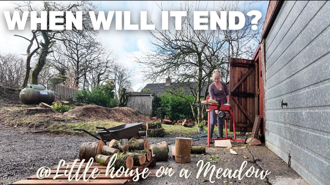 Wood, Wildlife, and a Very Ugly Kitchen