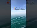 اسمع الخلاصة من بحراوي القلوب رضا البحراوي بحراوي القلوب 