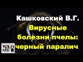 #Кашковский В. Г. #Вирусные_болезни_пчел: черный парали