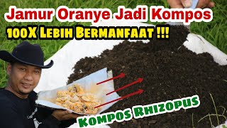Upgrade Komposmu!! Hanya modal Nasi saja 👍
