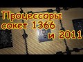 Золотые процессоры под сокет 1366 и 2011