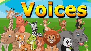 Animal sounds, cat sound, sparrow sound, dog sound, pig sound, tiger sound,  lion sound
