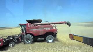 Odegard Harvesting 2011: Harvesting the Great Plains of the US