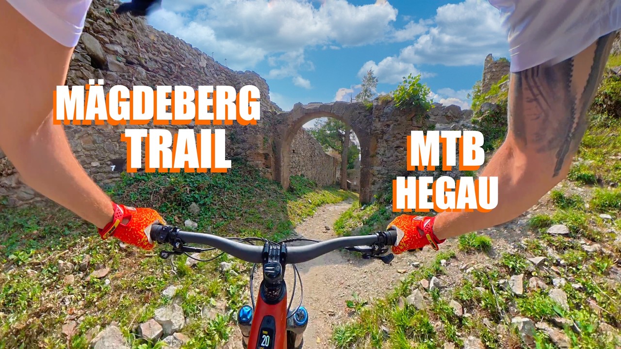 all mountain pedals Wolf Tooth Waveform Aluminum ImageNumOrder|5-1-3-2-4 mountain riding TIGERFINK Aufbewahrung mit 5 Lens Technology:Combine8&trade; Polarized Etched