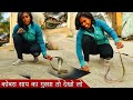 गुस्सा हो कर कोबरा साप बार बार खतरनाक अटॅक देखिए